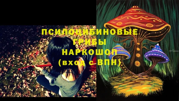 бошки Алексеевка