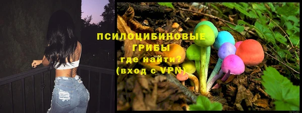 соль ск Алзамай