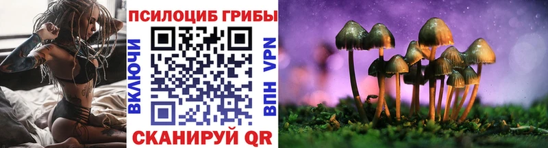сайты даркнета наркотические препараты  Лагань  Псилоцибиновые грибы Psilocybe 